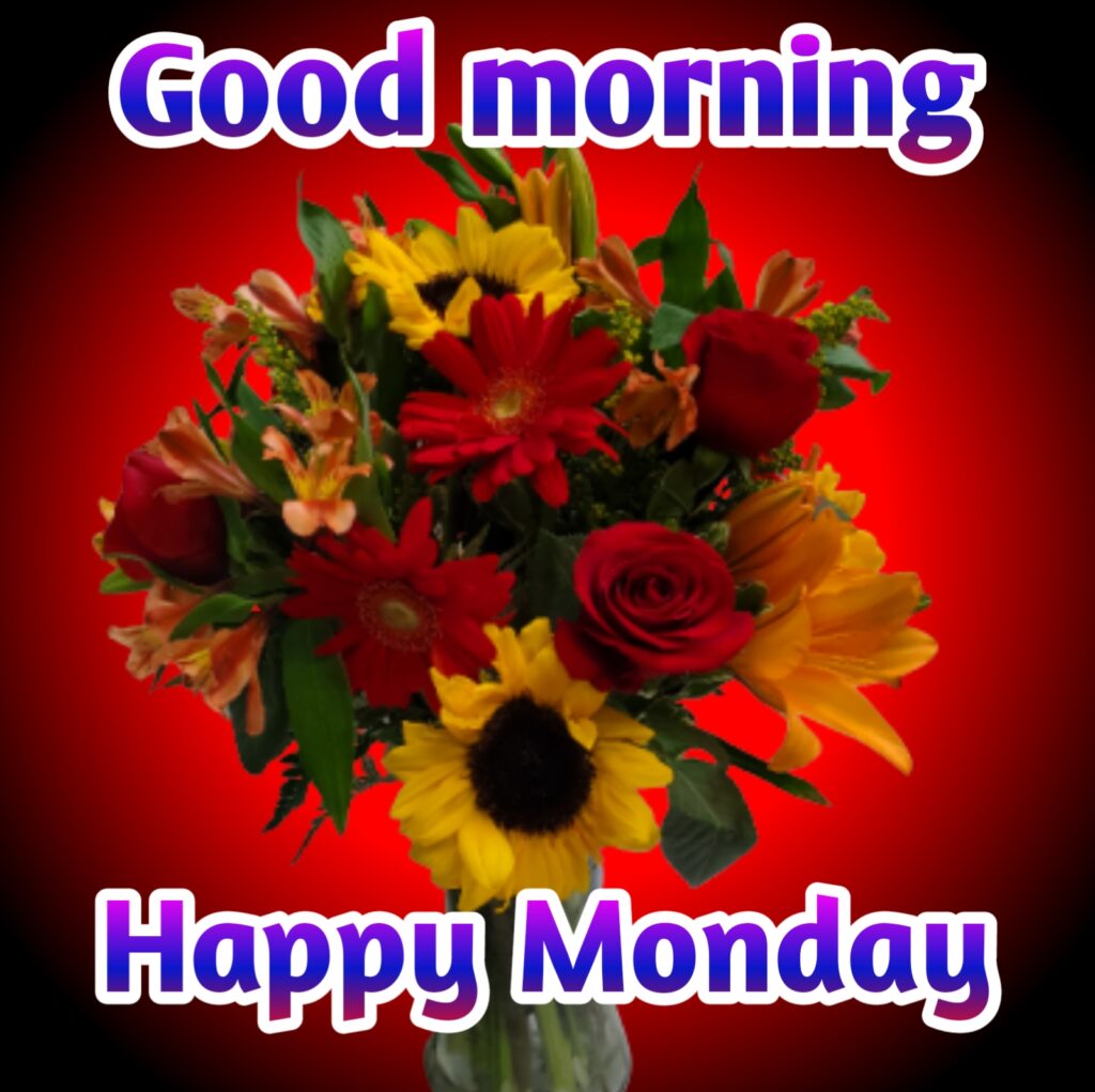 good morning happy monday, good morning happy monday images, good morning happy monday images hd,happy monday good morning, good morning images download, good morning images hindi, good morning, good morning happy monday god images, happy monday images,happy monday images hd, happy monday morning, beautiful monday morning images