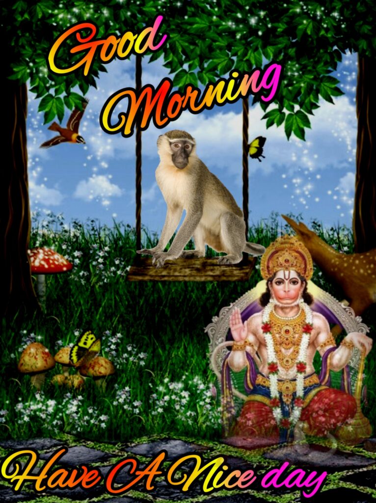 Good Morning Have A Nice Day Images, good morning have a nice day photos, good morning have a nice day images hd, have a nice day images hd, have a nice day images, good morning have a nice day in hindi, good morning hanuman photos, good morning hanuman images, hanuman images, good morning hanuman, have a nice day hanuman, good morning have a nice day hanuman pictures, good morning hanuman ji photos, good morning, have a nice day 