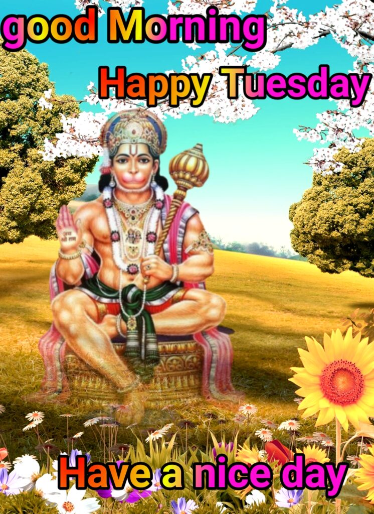 Good Morning Happy Tuesday Hav A Nice Day Images
