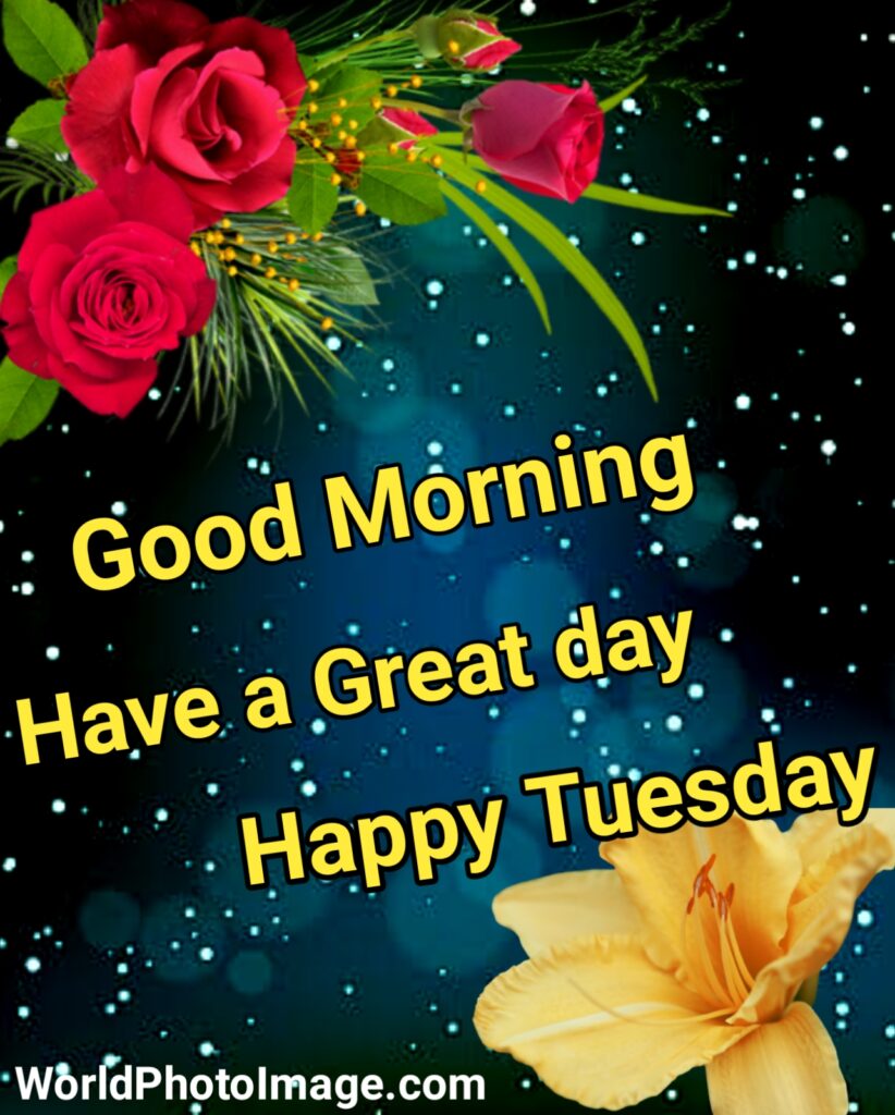 Good Morning Have A Great Day Happy Tuesday,good morning,good morning have a nice day hd photos, good morning, good morning images, good morning images hd, good morning flowers images photos, good morning happy Tuesday images 