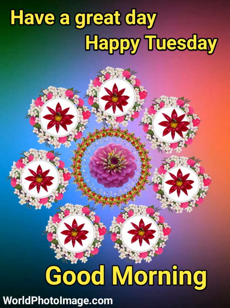 Good Morning Have A Great Day Happy Tuesday,good morning,good morning have a nice day hd photos, good morning, good morning images, good morning images hd, good morning flowers images photos, good morning happy Tuesday images