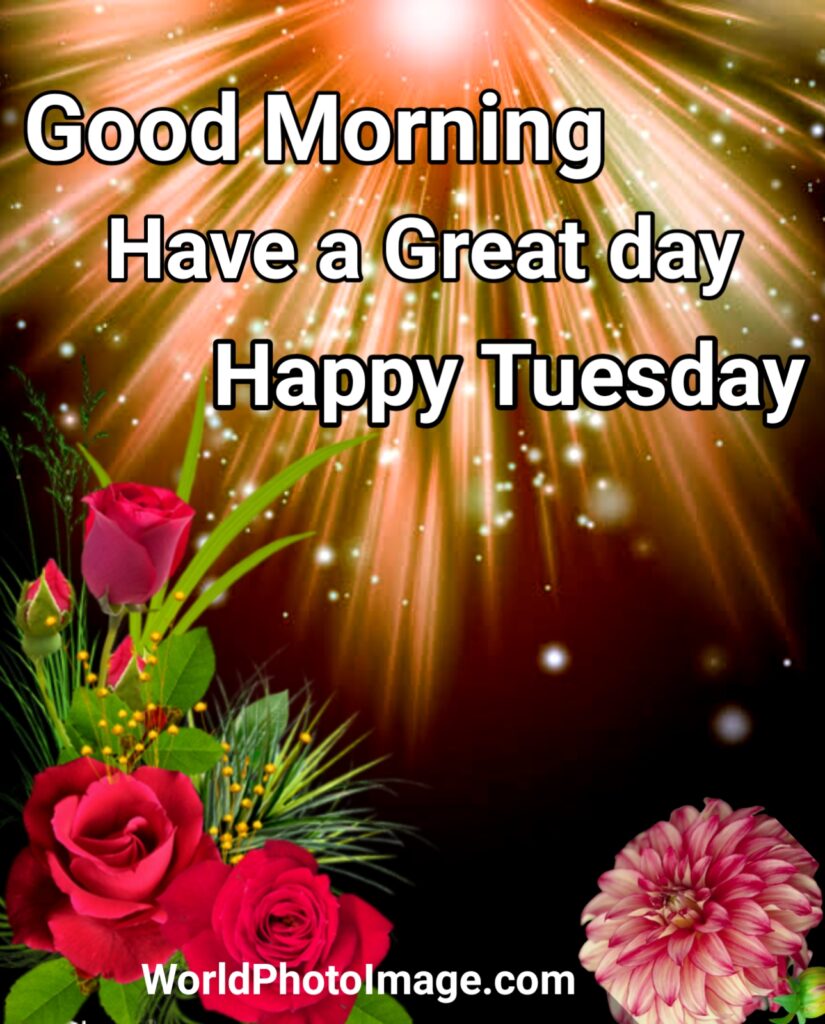 Good Morning Have A Great Day Happy Tuesday,good morning,good morning have a nice day hd photos, good morning, good morning images, good morning images hd, good morning flowers images photos, good morning happy Tuesday images 
