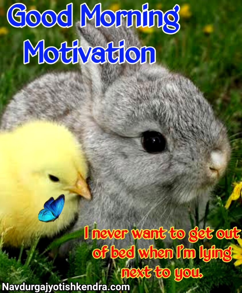 Good Morning Motivation Status, good morning motivational quotes, good morning motivational quotes in english, good morning motivational quotes in english with images, good morning Motivation thought, good morning motivation thought in english, good morning quotes in english motivational, good morning quotes, good morning quotes with images, good morning thoughts, good morning photos, good morning, good morning Motivation message, good morning photos flowers, good morning motivational quote, good morning motivational image, good morning motivational images hd, good morning motivational quotes hd images, good morning motivation