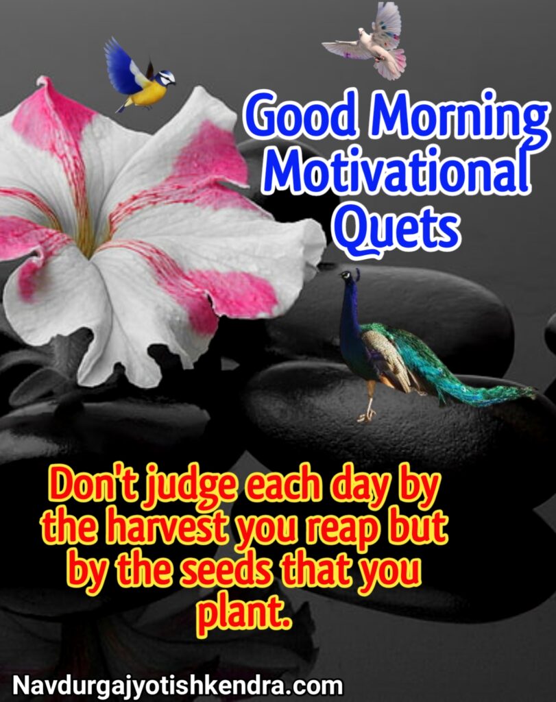 Good Morning Motivational Quets, good morning motivation images, good morning motivation images in hindi, good morning motivational images hd, good morning motivational quotes hd images, good morning motivational quotes with images in english, good morning motivationa status, good morning, good morning Motivation, good morning Motivation thought, good morning motivational thoughts, good morning Motivation photos, good morning Motivation photo, good morning Motivation image, good morning status, good morning images, good morning motivation status in english, good morning motivation message, good morning motivational message in english, good morning motivational thoughts in english