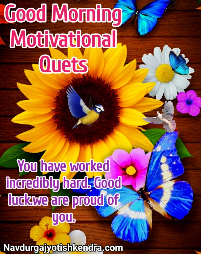 Good Morning Motivational Quets, good morning motivation images, good morning motivation images in hindi, good morning motivational images hd, good morning motivational quotes hd images, good morning motivational quotes with images in english, good morning motivationa status, good morning, good morning Motivation, good morning Motivation thought, good morning motivational thoughts, good morning Motivation photos, good morning Motivation photo, good morning Motivation image, good morning status, good morning images, good morning motivation status in english, good morning motivation message, good morning motivational message in english, good morning motivational thoughts in english