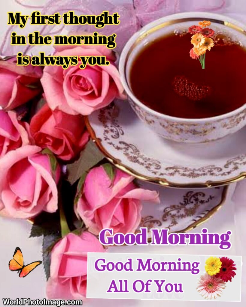 good morning quotes for love in english,
good morning wishes for love in english,
good morning quotes for love in hindi english,
good morning love quotes for girlfriend in english,
good morning love quotes for her in english,
good morning love quotes for him in english,
good morning quotes for love in english,
good morning thought for love,
good morning shayari for love,
good morning shayari for love image,
good morning shayari for lover in english,
good morning love quotes for husband,
good morning love shayari in english,
good morning love shayari in english for girlfriend,
love good morning in english,
good morning wishes for love quotes,
good morning love images hd,
good morning love images for girlfriend,
good morning shayari for love in english